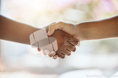 Image of Handshake, partnership and hands with support or welcome, trust and agreement with team building or thank you. People shaking hands, team and partner with solidarity and onboarding with commitment.