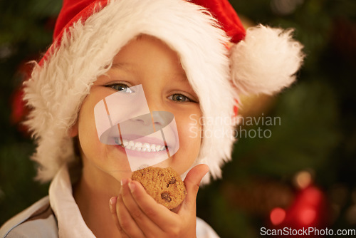 Image of Christmas, young child with cookie and smile in portrait, holiday and celebration in family home. Happy kid, chocolate cookies and festive in Santa hat and youth with happiness in childhood and xmas.