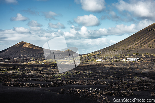 Image of Traditional white houses in black volcanic landscape of La Geria wine growing region with view of Timanfaya National Park in Lanzarote. Touristic attraction in Lanzarote island, Canary Islands, Spain.