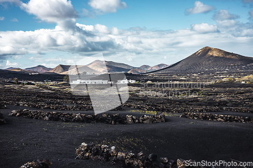 Image of Traditional white houses in black volcanic landscape of La Geria wine growing region with view of Timanfaya National Park in Lanzarote. Touristic attraction in Lanzarote island, Canary Islands, Spain.