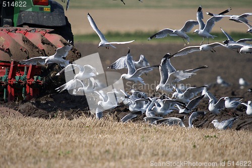 Image of tracktor in work