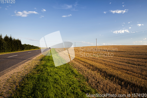 Image of part of an agricultural field