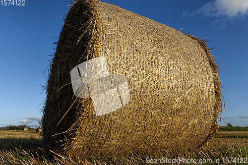 Image of cylindrical straw stacks