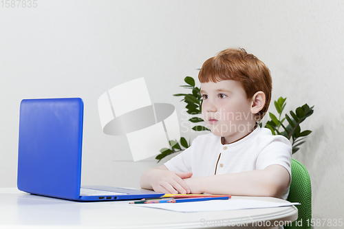 Image of boy studying, a close-up