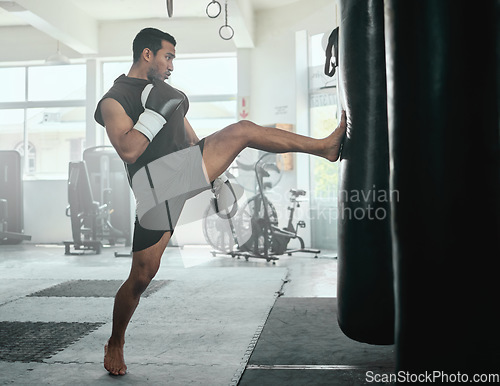 Image of Male athlete kicking a punching bag in a gym while practicing, training and fitness exercise. Strong professional fighter or athletic man in a health and wellness club busy with a combat workout