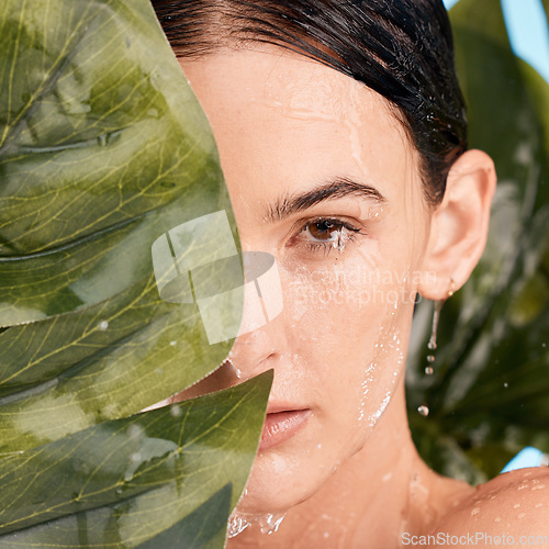 Image of Monstera, skincare and woman in studio shower for natural makeup, beauty and eco friendly cosmetics with face aesthetic. Plant, leaf and nature with young model portrait and water drops for facial