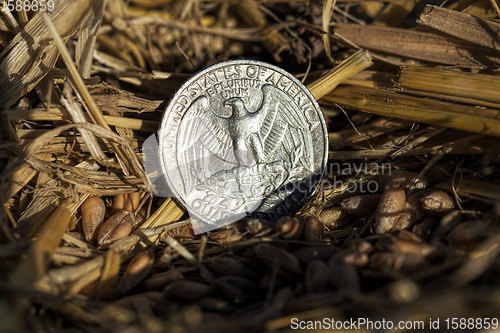 Image of American coins are cents