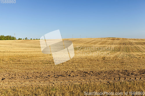 Image of plowed fertile soil