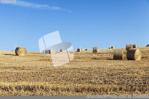 Image of stack of straw , summer time