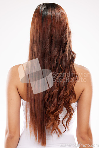 Image of Hair care, beauty and back of woman in studio isolated on a white background. Hairstyle, curly hair and female model with long and healthy hair after cosmetics dye or salon hair treatment for texture