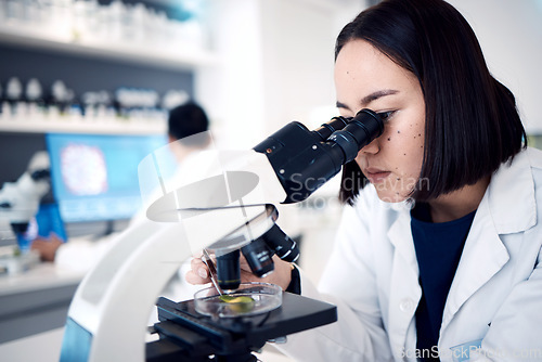 Image of Laboratory, microscope and medical science analysis, research innovation and biotechnology scientist. Chemistry, healthcare engineer working and microbiology testing or forensic experiment in lab