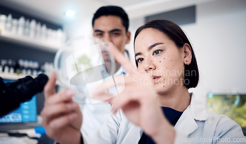 Image of Science, doctors and petri dish for plant research in laboratory. Botanist, plants and teamwork of scientists, man and woman testing or analyzing leaf samples to optimize growth, food farming or gmo.