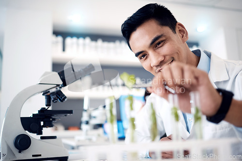 Image of Scientist, microscope and plants pharmaceutical research, ecology growth testing and asian man. Biotechnology expert, green energy innovation and leaf chemistry or science experiment in laboratory