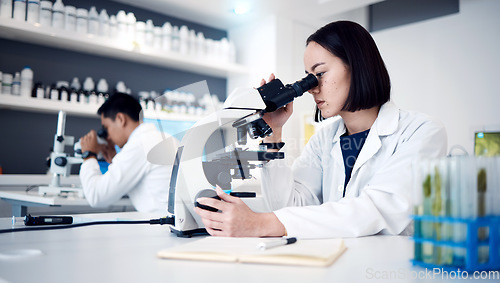 Image of Research, microscope and science with woman in laboratory for virus, medicine and pharmacy. Goal, vision and vaccine test with expert scientist and analytics for data, biotechnology and healthcare