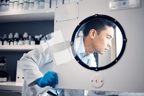 Image of Scientist, man and science laboratory incubator for research, chemistry experiment and biotechnology. Pharmaceutical innovation, chemical engineer and check health samples for testing in hospital lab