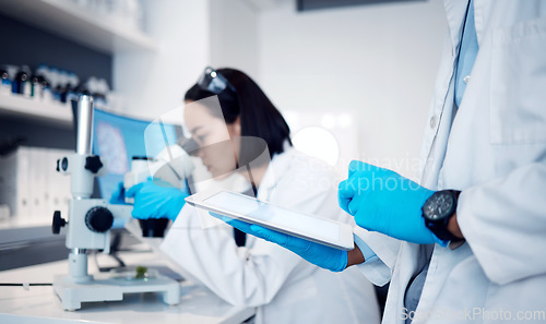 Image of Science, medical and hands with tablet for research in lab for analytics, biotechnology and digital analysis. Healthcare, technology and scientists team working with microscope in medicine laboratory