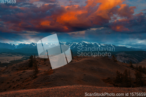 Image of Maral on mountains background