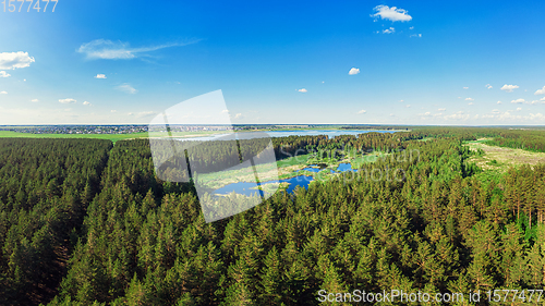 Image of Aerial view of forest lake