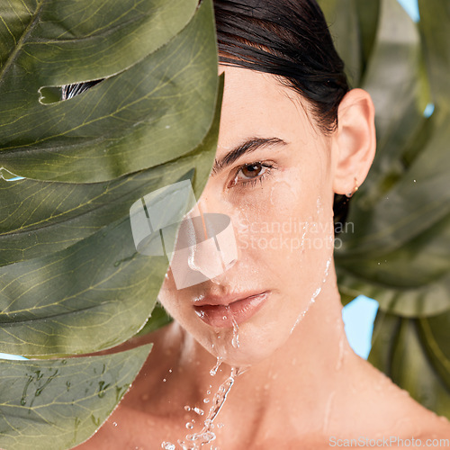 Image of Skincare portrait and shower face with leaf for natural cosmetic washing treatment zoom. Beauty, wellness and hygiene of girl model with monstera plant and hydrated skin cleaning routine.