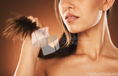 Image of Beauty, hair care and model hand with damage, split ends and dry texture from unhealthy styling. Destroyed, check and hair problem of cosmetic skincare girl on brown studio background.