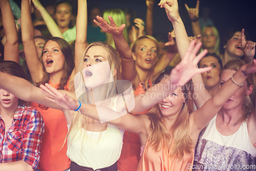 Image of Concert, music festival and crowd of women or audience in night club, dance event and singing celebration with lights, disco and club lifestyle. Fans, group of people or youth at rave or techno party