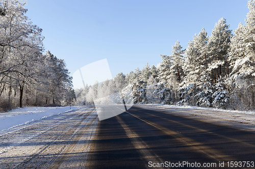 Image of road in the forest