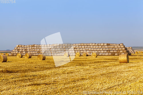Image of agricultural field with straw stacks