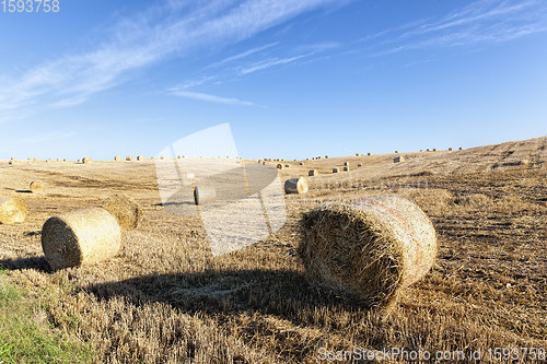 Image of stack of straw , summer time