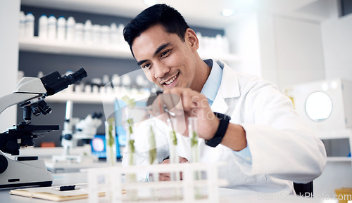 Image of Scientist, plant and research in laboratory, microscope or test tube with innovation, analytics or happy smile in work. Science man, biology analysis or expert working with chemicals in chemistry lab
