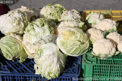 Image of Vegetables