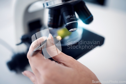 Image of Science, scientist hand with tweezers and microscope with test sample zoom, research for scientific innovation in lab. Biotechnology or botany with doctor in lab and analysis with study closeup.