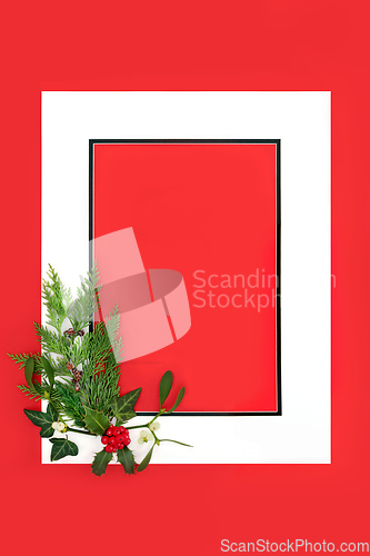 Image of Winter Christmas Holly Mistletoe Ivy Fir Background Frame