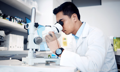 Image of Microbiology, research and scientist with microscope for bacteria in a lab, studying particles and science atom. Healthcare, innovation and worker with technology for medicine, atom data and test