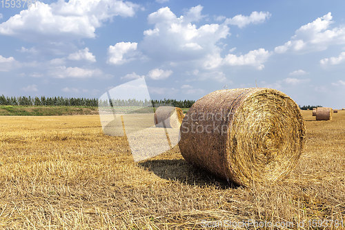 Image of a stack of straw