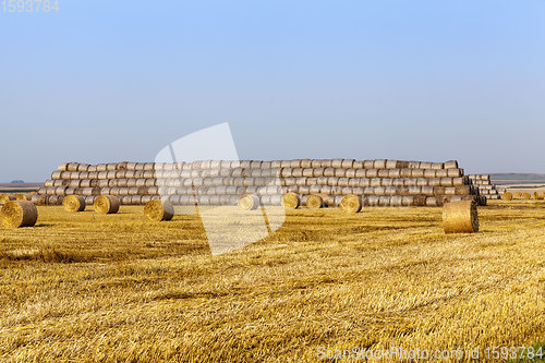 Image of agricultural field with straw stacks