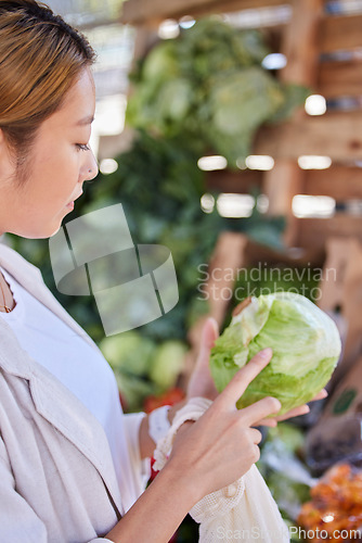 Image of Grocery store, lettuce and Asian woman shopping and looking at vegetable quality and sale. Customer holding and checking vegetables price on salad promotion in a health food shop or supermarket