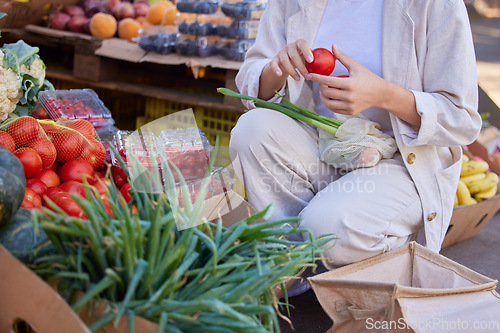 Image of Woman, shopping and healthy food, fruit and vegetables at vegan farmers market, eco friendly grocery store or lifestyle of sustainability. Closeup customer hands with choice of organic retail produce