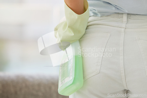 Image of Back view of woman, cleaning service and spray bottle with gloves for home maintenance of dirt, bacteria and dust. Closeup hands of maid, cleaner and ready for housekeeping with chemical detergent