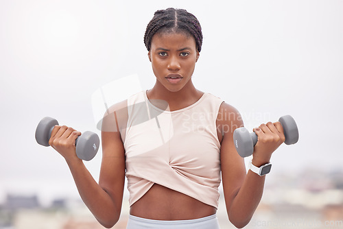 Image of Portrait, black woman and dumbbells for training, exercise or workout for wellness, health or power. Young female, Jamaican girl or athlete with gym equipment, practice or fitness for energy or focus