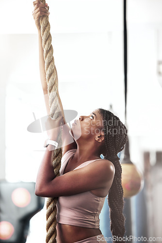 Image of Black woman, fitness and rope climbing at gym for cross workout training for strength, energy and focus of a strong athlete. Female doing climb exercise for strength, muscle and energy with endurance