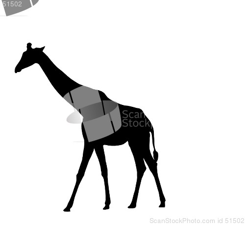 Image of Giraffe Silhouette