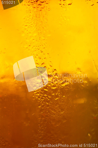 Image of Glass of beer