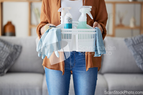 Image of Zoom, woman hands with cleaning, product in basket for home maintenance, cleaning service or living room spring cleaning. Cleaner or maid with brush, liquid spray bottle or clean supplies in hand
