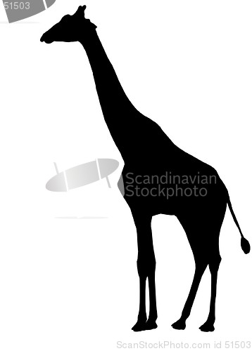 Image of Giraffe Silhouette