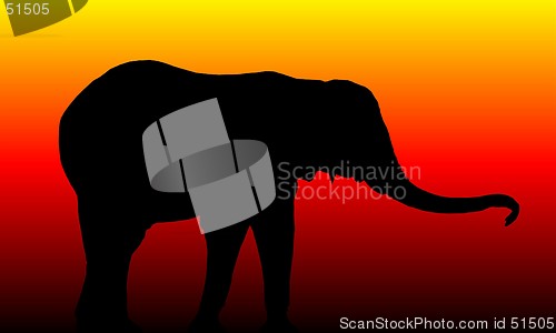 Image of Elephant