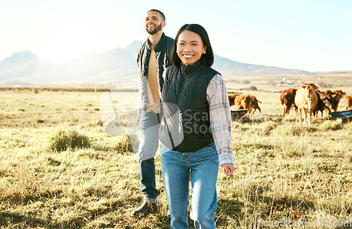 Image of Farm, agriculture and cattle with a couple walking on a field or meadow together for beef of dairy farming. Cow, sustainability and teamwork with a man and woman farmer bonding while working outdoor