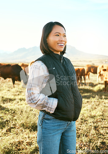 Image of Cow, farmer and asian woman on grass field in nature for meat, beef or cattle food industry. Happy, smile and farming success for cows, livestock and agriculture animals, milk production and growth