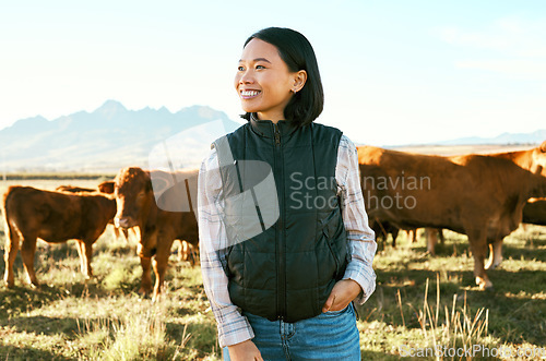 Image of Countryside, cow cattle and Asian woman happy about nature, mountains and agriculture farm. Smile, grass field and animals with a person from Japan on travel, holiday and vacation in Texas