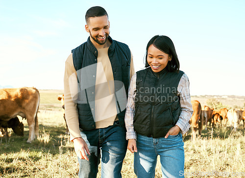 Image of Love, cow and agriculture with couple on farm for bonding, partnership and quality time. Sustainability, production and cattle farmer with man and woman in countryside for dairy, livestock or relax