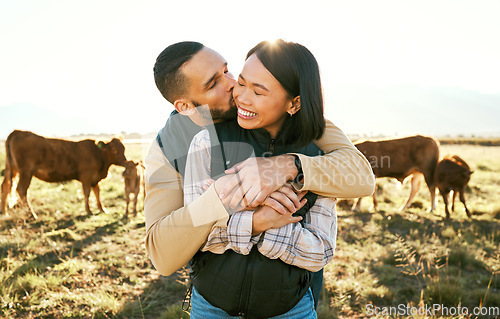 Image of Love, cow and agriculture with couple on farm for bonding, kiss or affectionate hug. Sustainability, production and cattle farmer with man and woman in countryside field for dairy, livestock or relax